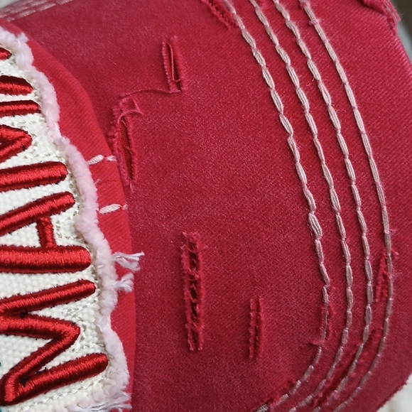 Brand  New Embroidered Dog Mom Hat - Picture 4 of 7